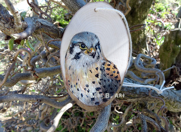 Turmfalke