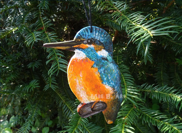 Eisvogel3